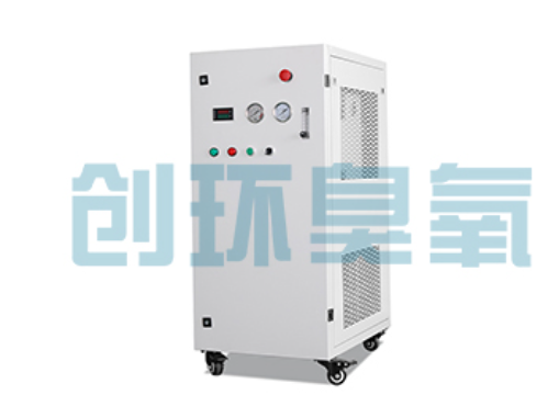 哈密石斑鱼养殖水质调控完整指南：臭氧发生器配置与操作步骤