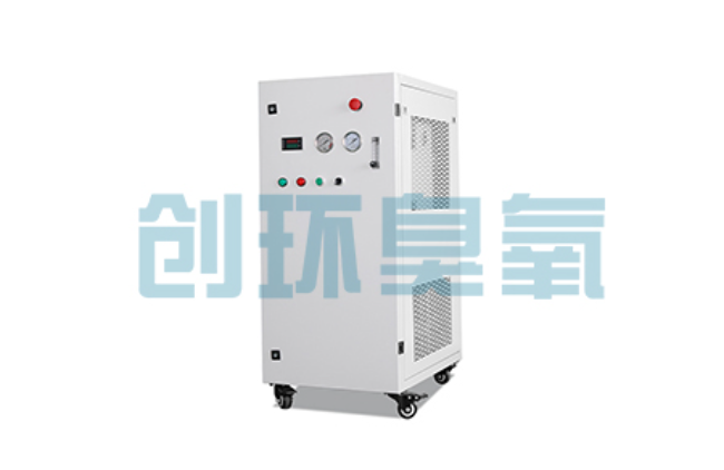 哈密比传统换水更高效？臭氧发生器在石斑鱼养殖中的水质净化原理解析